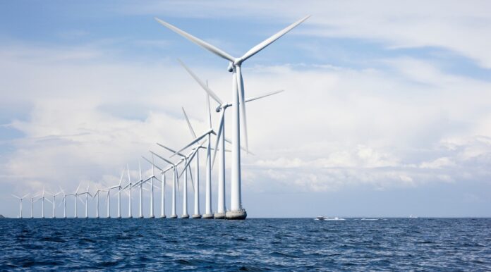 Million-Euro investment by foreign companies in the port of Szczecin