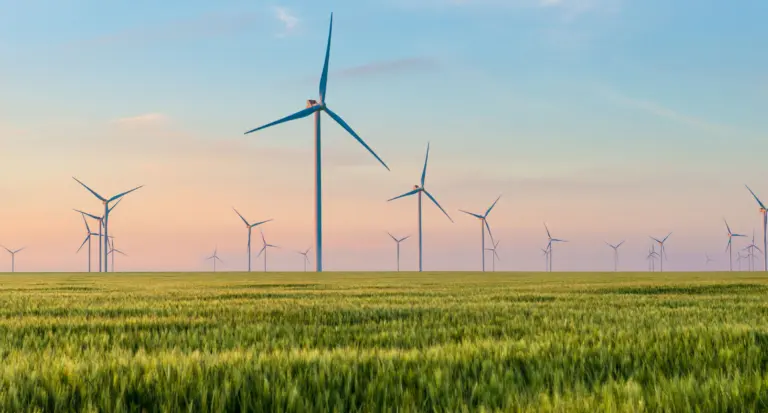 Zielona transformacja Polski przyciąga uwagę europejskiego biznesu