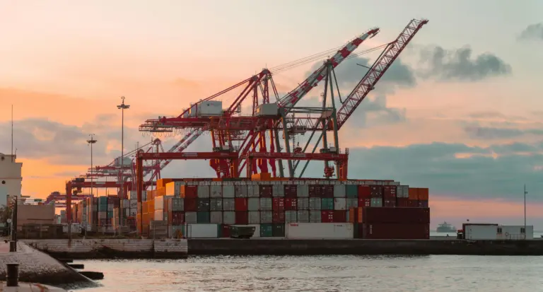 Polskie porty kontenerowe w 2025 roku - rekordy przeładunków i nowe możliwości inwestycyjne